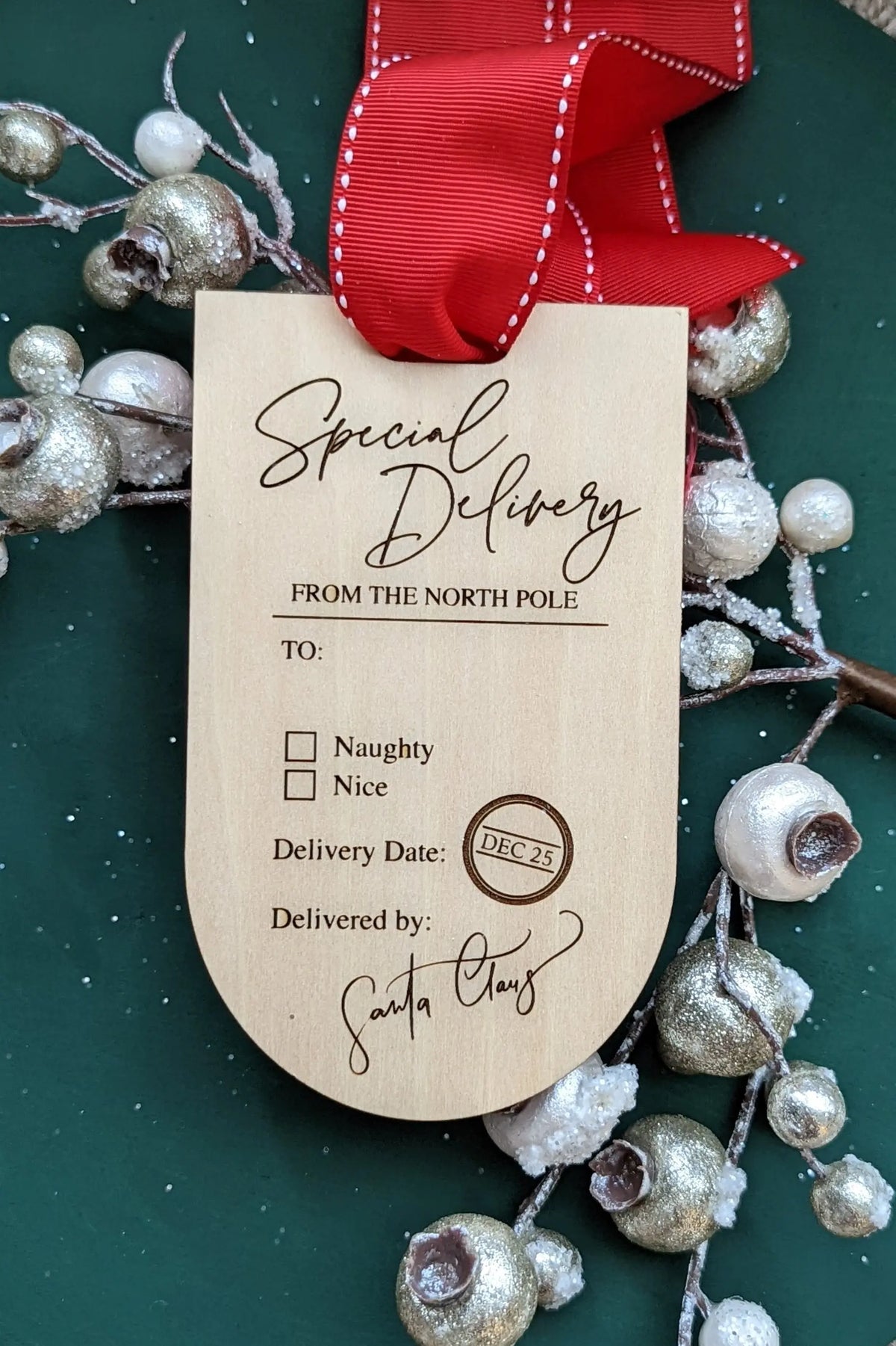 Santa Delivery Gift Tag / Naughty Or Nice AALVO