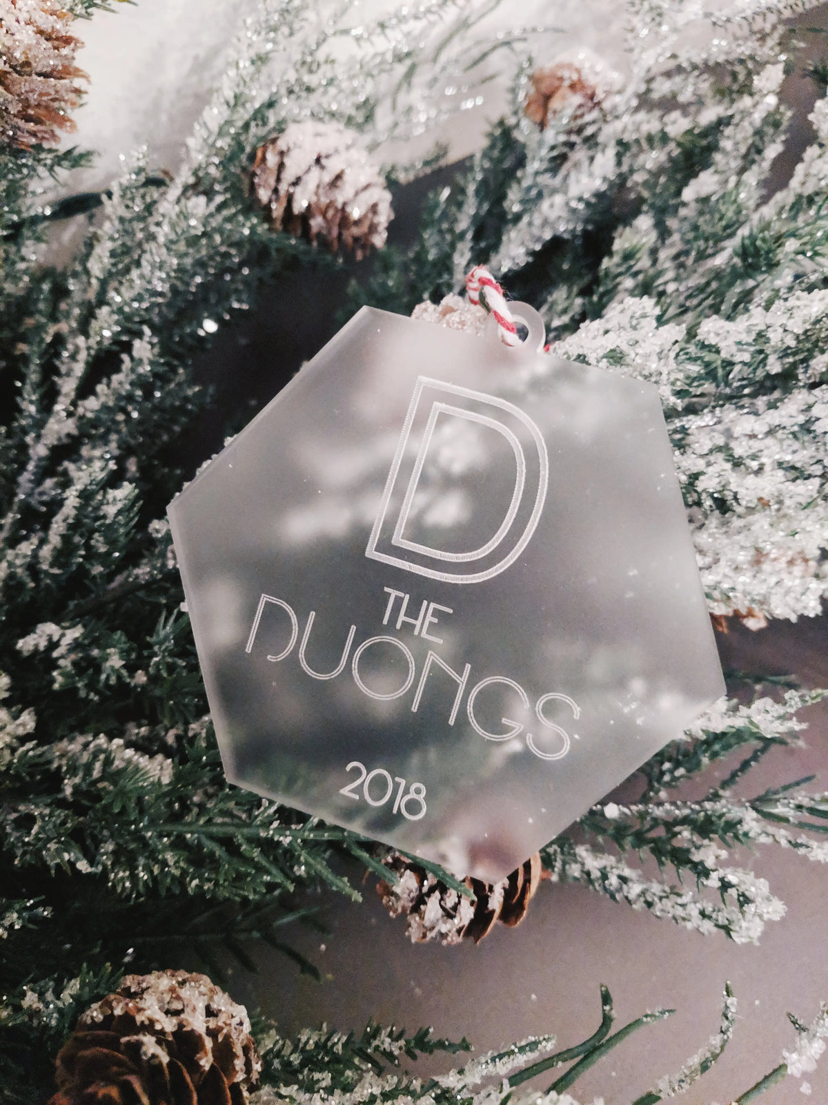 Personalized Family Name Christmas Ornament - Hex AALVO
